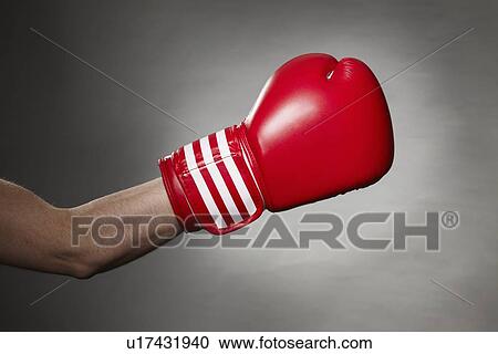 Hand wearing boxing glove View Large Photo Image Stock Image - Hand wearing boxing glove. Fotosearch