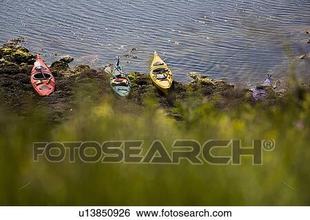 Kayaks docked on rocky beach View Large Photo Image Stock Photograph - Kayaks docked on rocky beach. Fotosearch