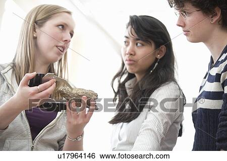 Stock Photograph - Students working in geology lab. Fotosearch