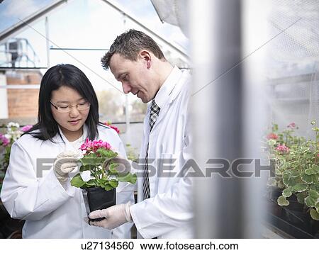 Teacher and student in greenhouse View Large Photo Image Stock Image - Teacher and student in greenhouse. Fotosearch