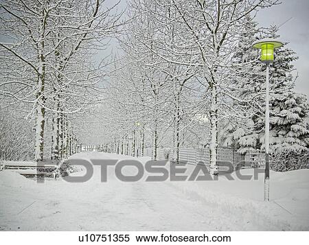 Stock Photography - Trees and road in snowy landscape. Fotosearch