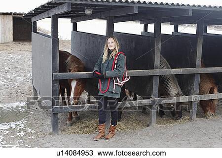Stock Image - Woman tending to horses in stables. Fotosearch