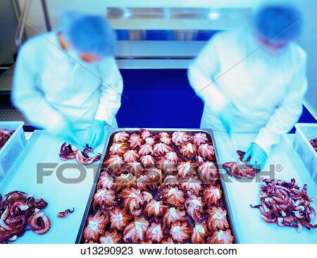 Stock Image - Workers in seafood processing plant. Fotosearch
