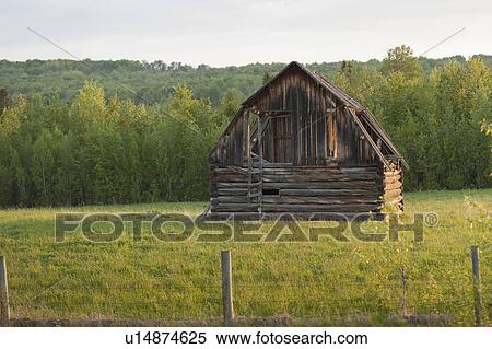 Abandoned barn in a field, Northern Alberta, Alberta, Canada View Large Photo Image Stock Photography - Abandoned barn in a field, Northern Alberta, Alberta, Canada. Fotosearch