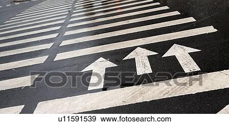 Stock Photo - Arrow signs with crosswalk markings on the road, St. Petersburg, Russia. Fotosearch
