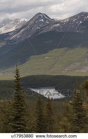 Bald hills trail, Jasper National Park, Alberta, Canada View Large Photo Image Stock Image - Bald hills trail, Jasper National Park, Alberta, Canada. Fotosearch