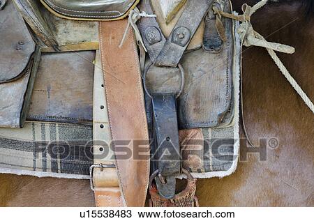 Close-up of a horse, Sayulita, Nayarit, Mexico View Large Photo Image Stock Image - Close-up of a horse, Sayulita, Nayarit, Mexico. Fotosearch