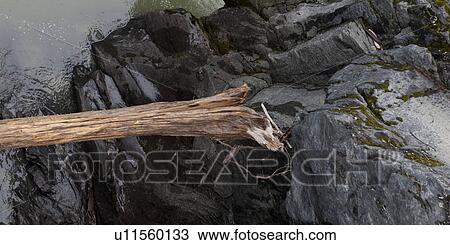 Stock Image - Close-up of a log on rocks, Nairn Falls Provincial Park, British Columbia, Canada. Fotosearch