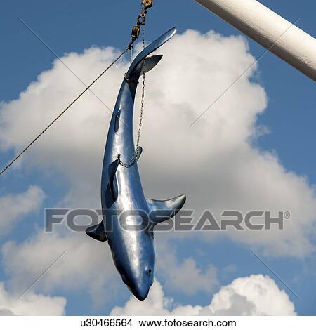 Close-up of a shark sculpture hanging from a pole, Stockholm, Sweden View Large Photo Image Picture - Close-up of a shark sculpture hanging from a pole, Stockholm, Sweden. Fotosearch