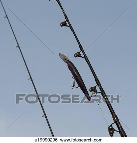 Close-up of fishing rods, Sayulita, Nayarit, Mexico View Large Photo Image Stock Photograph - Close-up of fishing rods, Sayulita, Nayarit, Mexico. Fotosearch