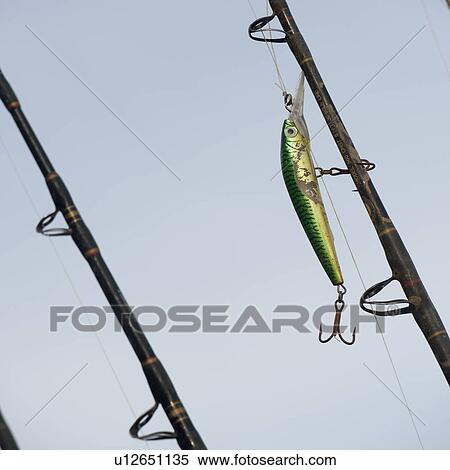 Close-up of fishing rods, Sayulita, Nayarit, Mexico View Large Photo Image Stock Photography - Close-up of fishing rods, Sayulita, Nayarit, Mexico. Fotosearch
