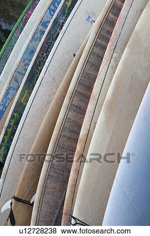 Stock Photo - Close-up of surfboards, Sayulita, Nayarit, Mexico. Fotosearch