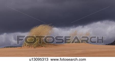 Clouds over a desert, Coral Pink Sand Dunes State Park, Utah, USA View Large Photo Image Stock Image - Clouds over a desert, Coral Pink Sand Dunes State Park, Utah, USA. Fotosearch