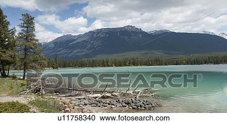 Edith Lake, Jasper, Jasper National Park, Alberta, Canada View Large Photo Image Stock Image - Edith Lake, Jasper, Jasper National Park, Alberta, Canada. Fotosearch