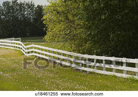 Stock Photography - Fence along a field, Northern Alberta, Alberta, Canada. Fotosearch