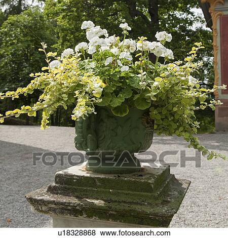 Stock Photo - Flowers in a decorative urn at Chinese Pavilion of Drottningholm Palace, Drottningholm, Stockholm, Sweden. Fotosearch