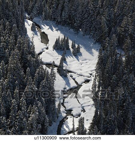Frozen river in a forest, Whistler, British Columbia, Canada View Large Photo Image Stock Photo - Frozen river in a forest, Whistler, British Columbia, Canada. Fotosearch