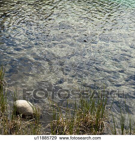 High angle view of a lake, Jasper National Park, Alberta, Canada View Large Photo Image Stock Photo - High angle view of a lake, Jasper National Park, Alberta, Canada. Fotosearch