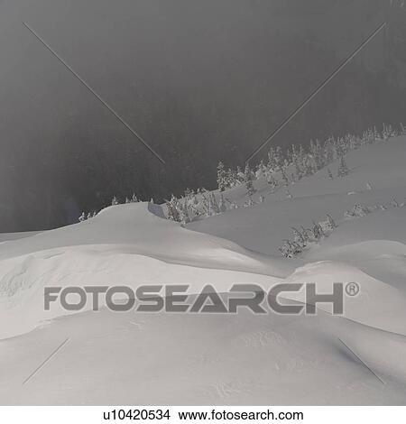 Picture - High angle view of a valley covered with fog, Whistler, British Columbia, Canada. Fotosearch