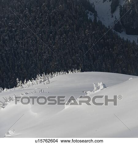 High angle view of a valley, Whistler, British Columbia, Canada View Large Photo Image Picture - High angle view of a valley, Whistler, British Columbia, Canada. Fotosearch
