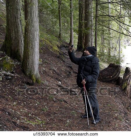 Hiker taking pictures in a forest, Nairn Falls Provincial Park, Whistler, British Columbia, Canada View Large Photo Image Picture - Hiker taking pictures in a forest, Nairn Falls Provincial Park, Whistler, British Columbia, Canada. Fotosearch