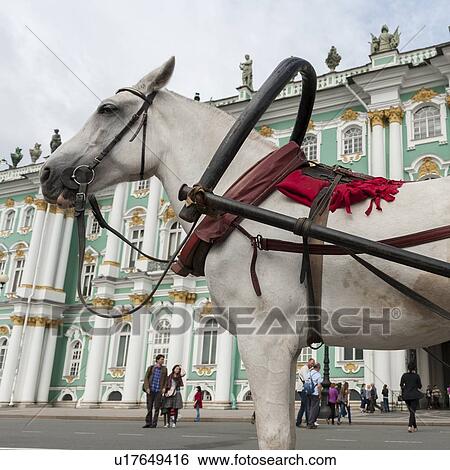 Stock Photograph - Horse and tourists at Winter Palace, State Hermitage Museum, Palace Square, St. Petersburg, Russia. Fotosearch