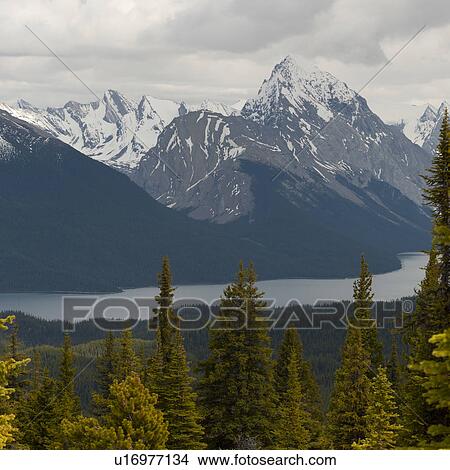 Picture - Lake in front of mountains, Maligne Lake, Jasper National Park, Alberta, Canada. Fotosearch