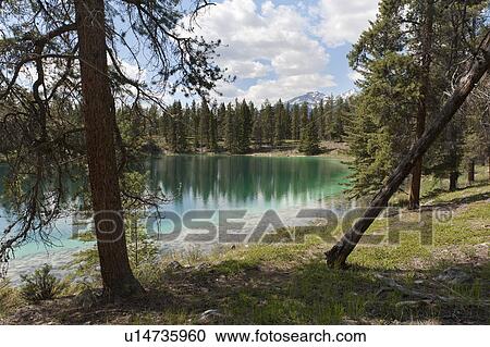 Stock Image - Lake surrounded by trees, Jasper National Park, Alberta, Canada. Fotosearch