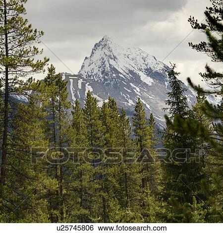 Leah Peak, Malign Lake, Jasper National Park, Alberta, Canada View Large Photo Image Stock Photograph - Leah Peak, Malign Lake, Jasper National Park, Alberta, Canada. Fotosearch