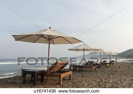 Lounge Chairs and beach umbrellas on the beach, Sayulita, Nayarit, Mexico View Large Photo Image Stock Photograph - Lounge Chairs and beach umbrellas on the beach, Sayulita, Nayarit, Mexico. Fotosearch