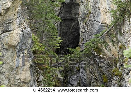 Picture - Maligne Canyon, Jasper National Park, Alberta, Canada. Fotosearch