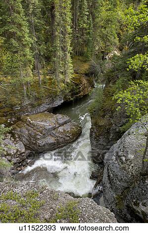 Maligne Canyon, Jasper National Park, Alberta, Canada View Large Photo Image Stock Image - Maligne Canyon, Jasper National Park, Alberta, Canada. Fotosearch