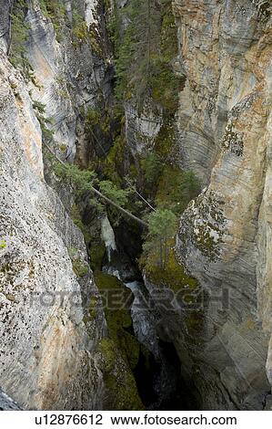 Stock Image - Maligne Canyon, Jasper National Park, Alberta, Canada. Fotosearch