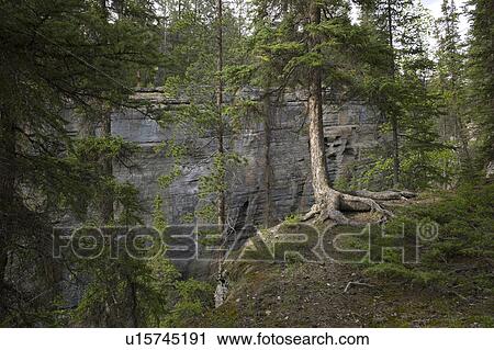 Maligne Canyon, Jasper National Park, Alberta, Canada View Large Photo Image Stock Image - Maligne Canyon, Jasper National Park, Alberta, Canada. Fotosearch