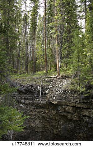 Stock Image - Maligne Canyon, Jasper National Park, Alberta, Canada. Fotosearch