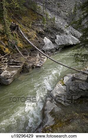 Stock Photo - Maligne Canyon, Jasper National Park, Alberta, Canada. Fotosearch