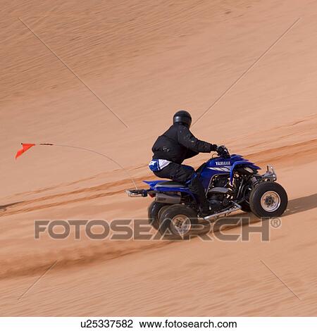Man riding a quad bike in a desert, Coral Pink Sand Dunes State Park, Utah, USA View Large Photo Image Stock Image - Man riding a quad bike in a desert, Coral Pink Sand Dunes State Park, Utah, USA. Fotosearch