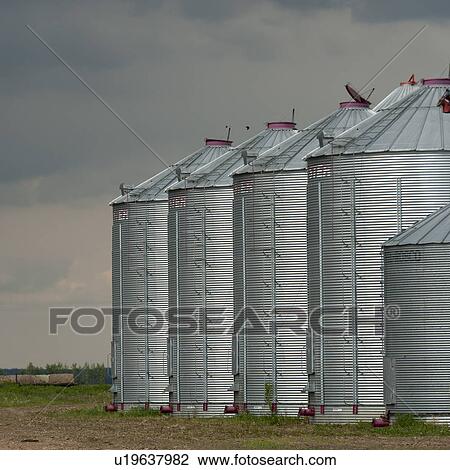 Metal silos in a field, Northern Alberta, Alberta, Canada View Large Photo Image Stock Image - Metal silos in a field, Northern Alberta, Alberta, Canada. Fotosearch