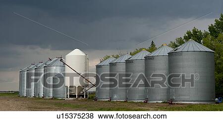 Stock Photo - Metal silos in a field, Northern Alberta, Alberta, Canada. Fotosearch