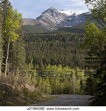 Stock Image - Miette Hot Springs Road, Jasper National Park, Alberta, Canada. Fotosearch