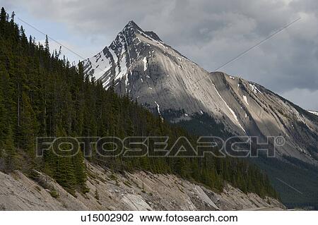 Mountain peak, Jasper National Park, Alberta, Canada View Large Photo Image Stock Image - Mountain peak, Jasper National Park, Alberta, Canada. Fotosearch