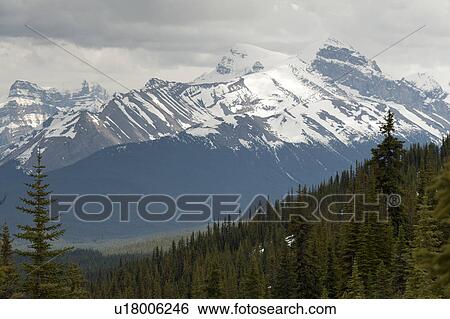 Mountain range, Jasper National Park, Alberta, Canada View Large Photo Image Stock Photograph - Mountain range, Jasper National Park, Alberta, Canada. Fotosearch
