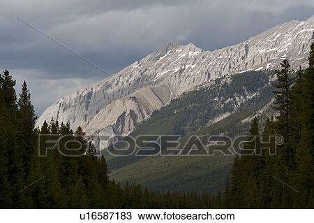 Stock Image - Mountains, Jasper National Park, Alberta, Canada. Fotosearch