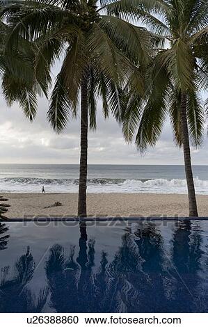 Stock Image - Palm trees on the beach, Sayulita, Nayarit, Mexico. Fotosearch