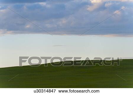 Panoramic view of a landscape, Northern Alberta, Alberta, Canada View Large Photo Image Stock Photo - Panoramic view of a landscape, Northern Alberta, Alberta, Canada. Fotosearch