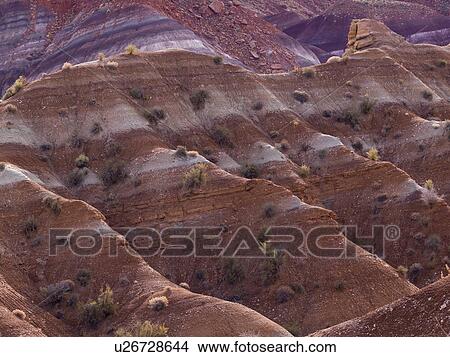 Picture - Paria Canyon, Paria, Kane County, Utah, USA. Fotosearch