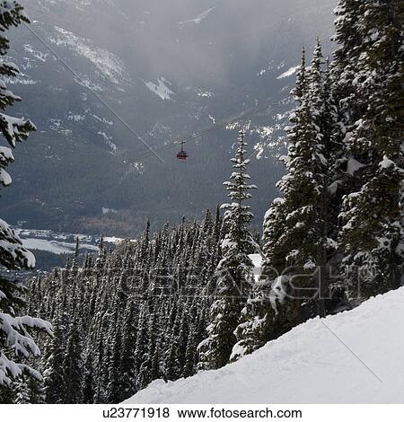 Peak 2 Peak Gondola over a forest, Whistler, British Columbia, Canada View Large Photo Image Stock Photo - Peak 2 Peak Gondola over a forest, Whistler, British Columbia, Canada. Fotosearch