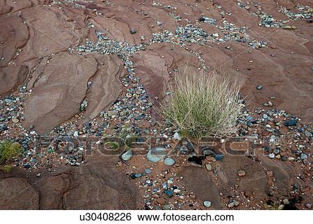 Pebbles on the rock, Arizona, USA View Large Photo Image Stock Photograph - Pebbles on the rock, Arizona, USA. Fotosearch
