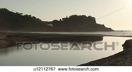 Reflection of trees in water, Sayulita, Nayarit, Mexico View Large Photo Image Stock Photo - Reflection of trees in water, Sayulita, Nayarit, Mexico. Fotosearch