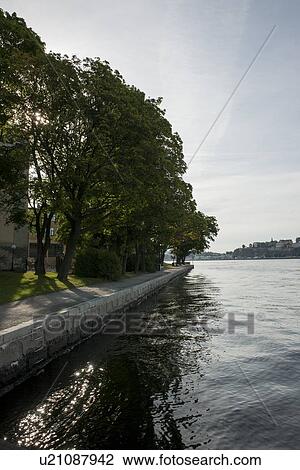 Reflection of trees on water, Skeppsholmen, Stockholm, Sweden View Large Photo Image Stock Image - Reflection of trees on water, Skeppsholmen, Stockholm, Sweden. Fotosearch